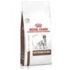 Royal Canin GASTROINTESTINAL DOG ROYAL CANIN KG 2