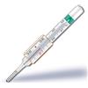 PIKDARE SpA Termometro gallio VedoEco Plus clinico