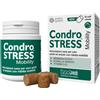 INNOVET ITALIA Srl Condrostress Plus 30 compresse masticabili articolazioni