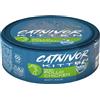 DRN Catnivor Kitten Patè 80 gr - Pollo - Confezione da 24 pezzi - 1° ORDINE? scegli lo sconto BZR5 / BZR20 + 200 punti fedeltà