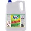 Ammoniaca classica - 5 L - Amacasa
