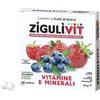 ZIGULI' ZIGULI VIT FRUTTIBOSCO 40CONF