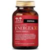 SALUGEA (RELOAD Srl) energea+ nuova formula salugea 60 capsule