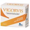 VIGORVIS 14 BUSTINE DA 6 G