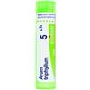 Boiron Arum Triphyllum 5 Ch 80 Granuli 4 g Multidose