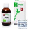 Fitomedical snc Carpino Macerato Glicerico 50ml