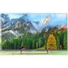 Smart Tech BD_IT_0004_40QW01V 40 4K QLED SMART TV 5999862467944