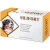Aurora Biofarma Silifort 30 Compresse