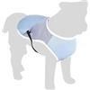 Flamingo cappotto cane - cappotto rinfrescante Frozen blu grigio M - 35 cm - assorbente - regolabile - chiusura a clic
