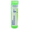 boiron Kalium bichromicum 5ch 80gr 4g