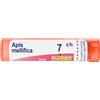boiron Apis mellifica 7ch gr bo