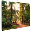 MuchoWow© Quadri su Tela 70x50 cm Foto Quadro Moderno Soggiorno Canvas Decorazioni Camera da Letto Foresta - Sentiero - Albero - Verde - Sole - Natura