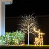 CCLIFE Albero Luminoso da Interno Led Esterno Albero Fatato Lampada Natale,Lampada Albero di Betulla Bianca,Bianco Caldo,IP44,150 cm,180 LED,CushHom
