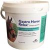 Nbf lanes gastro horse relax polvere appetibile 2 kg