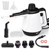 Dreamhigh® Pulitore Vapore Casa 430ml, 1200W 3,5 Bar Pulitore a Vapore per Divani con 9 Accessori, Pulitore a Vapore Portatile per Moquette,Tende, Divani, Cucina, Auto, Bagni e Altro