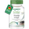 Fairvital | Mumijo Shilajit - 90 capsule - con 1000mg di polvere di Mumijo per dose giornaliera - shilajit originale dell'Himalaya - qualità testata e altamente dosata - Made in Germany
