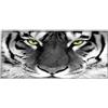 Silent Monsters Tappetino Mouse XXL 90 x 40 cm, Grande, Tigre, con Bordo Cucito, Durevoli, antiscivolo e silenzioso, gioco, ufficio, casa, lavabile, arrotolabile, Tappetini per il Gaming Mousepad