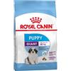 ROYAL CANIN GIANT PUPPY KG 15