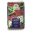 VITAFLOR SRL LAPILLO VULCANICO ROSSO SACCO DA 33 LT CALIBRO 10-14 MM VITAFLOR AMDGARDEN