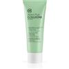 Collistar Attivi Puri Maschera all'Argilla Acido Salicilico + Zinco Pca 75ML