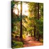 MuchoWow© Quadri su Tela 50x70 cm Foto Quadro Moderno Soggiorno Canvas Decorazioni Camera da Letto Foresta - Sentiero - Albero - Verde - Sole - Natura