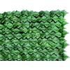 marca Siepi sempreverde Blinky edera mt 1x3
