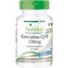 fairvital Coenzima Q10 100 mg, 60 capsule, facili da deglutire, ALTO DOSAGGIO, capsule di CoQ10 ubichinone, VEGANE
