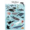 Close Up Poster Animali marini sott'acqua ist was los! (61 cm x 91,5 cm)
