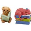 Kare Fermalibri di design per animali domestici, 2 pezzi, multicolore, motivo animali, rivestimento antiscivolo, soggiorno, per bambini, decorazione per scaffali o credenze, 15 x 11 x 15 cm (altezza x