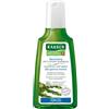 RAUSCH AG KREUZLINGEN RAUSCH SHAMPOO Antisebo 200mL