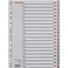 Leitz Esselte Rubrica con Tasti 1-20, Formato A4, Formato Extra Largo, Grigio, Divisori in Polipropilene Robusto con Pagina Indice, 100107