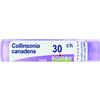 BOIRON Srl Collinsonia Canadens 30CH Boiron 80 Granuli
