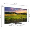 Thomson Smart TV 43QG5C14 43" Pollici QLED uhd 4K 60 Hz HDR 10 WiFi App