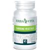 ERBA VITA GROUP SpA Carbone Vegetale 100tavolette