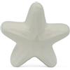 Gentile Ceramiche Stella Marina Bianca in Ceramica con Calamita (5,5cm)
