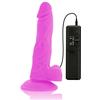 Diversia Dildo Vibrante Diversia Viola - 18 cm