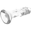 XRAY Dildo Trasparente X Ray Clear - Flessibile, Realistico, con Base a Ventosa