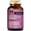 SALUGEA RELOAD Salugea Pausanorm Forte 60 capsule - Integratore Menopausa