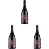 Vinchio & Vaglio Serra Barbera d'Asti "Vigne Vecchie" 50° Docg - 750 ML (Confezione da 3)