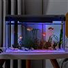 Crevyteg Starter kit per acquario da 19 litri, con filtro e luce, acquario rettangolare con filtro e ossigeno, decorazione da tavolo per casa, ufficio, soggiorno