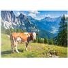 MyPuzzle.com MyPuzzle Mucca Al Pascolo Su Un Prato Alpino Nelle Dolomiti - Premium 100 Pezzi Puzzle - MyPuzzle Collezione speciale di Puzzle Galaxy