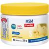 LONGLIFE Srl MSM POWDER LONGLIFE 250G