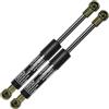 Frankberg 2x Molle a gas Cofano Motore Compatibile con X5 E53 3.0d 3.0i 4.4i 4.6is 4.8is Tutti i Motori SUV 2000-2006 Replace# 51238402551