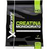 Xellerate Nutrition Creatina Monoidrata in Polvere Micronizzata 500g - 5+ Mesi - Creatine Monoidrato Altamente Solubile, Pura, Gusto Neutro - 100% Vegana - Include Dosatore - Prodotta in Europa - Xellerate Nutrition