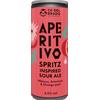 Ca' Del Brado Aperitivo - Spritz Inspired Sour Ale lattina 33cl