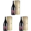 Vinchio & Vaglio Serra Barbera d'Asti "Vigne Vecchie" 50° Magnum astuccio legno Docg - 1500 ML (Confezione da 3)