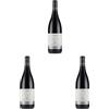 Vinchio & Vaglio Serra Barbera d'Asti superiore "3 Vescovi" Docg - 750 ML (Confezione da 3)