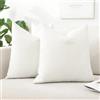 Artscope 2 Pezzi Federe Cuscini in Lino Minimalista Federe in Velluto Copricuscino per la Decorazione Domestica Soggiorno Camera da Letto Divano 60x60cm, Bianco