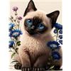 EOBROMD 5D Diamond Painting Kit Completo, Gatti Pittura Diamante FAI DA TE, Animali Diamond Painting Bambini Adulti, Strass Ricamo a Punto Croce Painting Decorazione per Casa 30x40cm