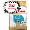 ROYAL CANIN CANE LABRADOR RETRIEVER PUPPY 12 KG [PREZZO A CONFEZIONE - acquisto min. 2 confezioni]
